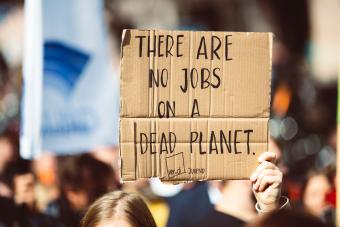 Protest Sign: There are no jobs on a dead planet