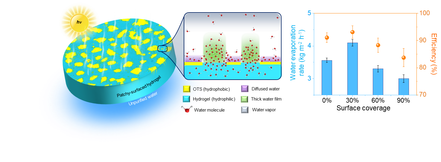 Hydrogel-based evaporators with high energy efficiency