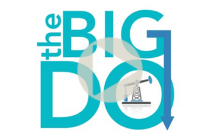 logo of The BigDO
