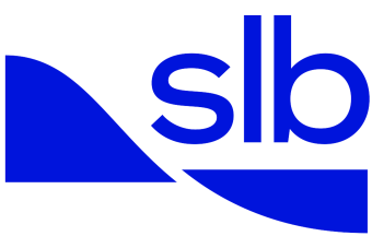 slb-flex-logo.png