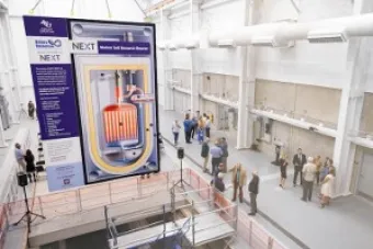 Natura molten salt reactor