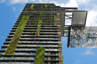 looking up at a multi-story building with plants growing in the exterior building cladding