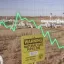 A line graph superimposed on a photo of a natural gas pipeline